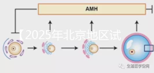 【2025年北京地區(qū)試管機(jī)構(gòu)口碑對(duì)比,高齡備孕夫妻的避坑手冊(cè)】