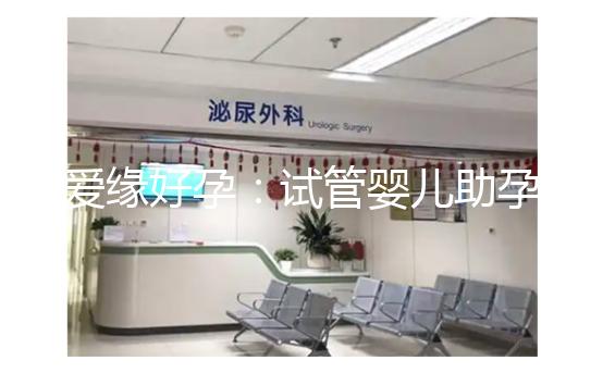 愛緣好孕：試管嬰兒助孕囊胚移植后，著床時間全解析