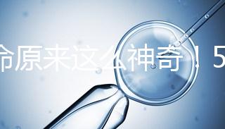 生命原來這么神奇！5個步驟詮釋胚胎培育的全過程