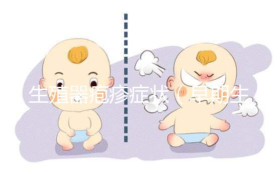 生殖器皰疹癥狀(早期生殖皰疹癥狀圖片)