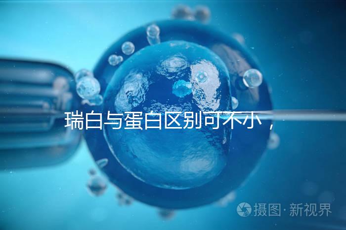 瑞白與蛋白區(qū)別可不小，保胎選擇哪個好一文說清