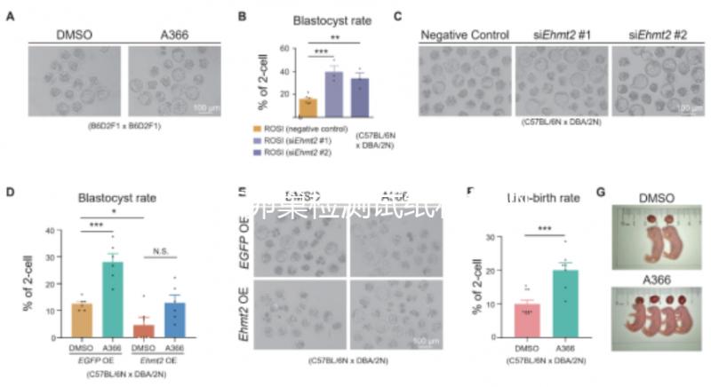 盤點卵巢檢測試紙和排卵試紙的區(qū)別,哪個更準確