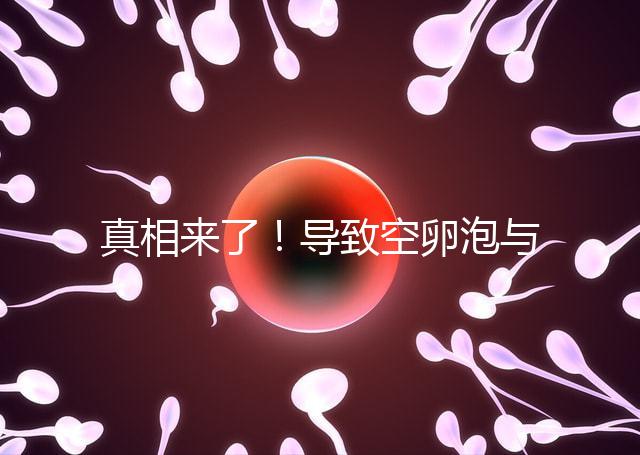 真相來了!導致空卵泡與多囊卵巢有關(guān),區(qū)別在于以下四點,多研究