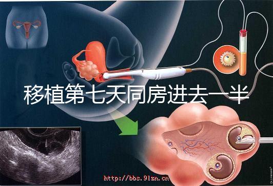 移植第七天同房進(jìn)去一半有無影響戳，沒出血問題就不大