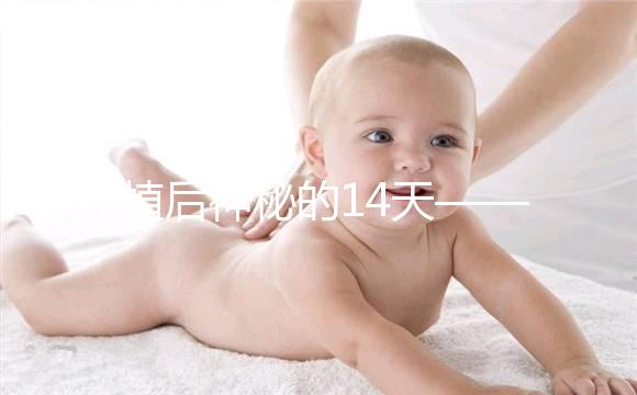 移植后神秘的14天——你的胚胎都發生了哪些變化？