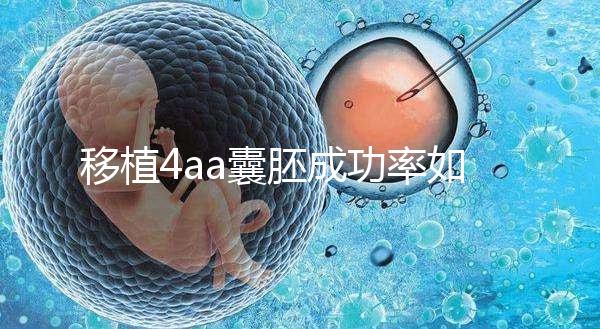 移植4aa囊胚成功率如何?細(xì)說質(zhì)量等級讓你助孕更安心