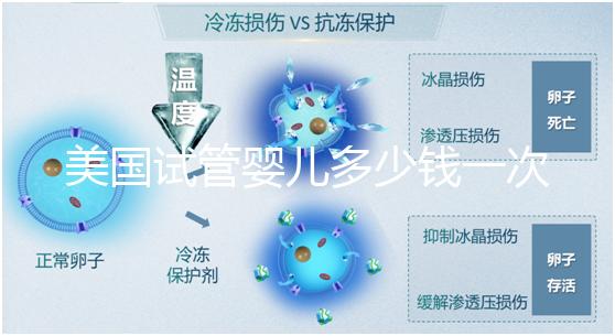 美國試管嬰兒多少錢一次？2025費用清單與避坑指南！
