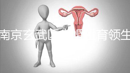 南京玄武區(qū)未婚生育領(lǐng)生育金看條件，社會(huì)撫養(yǎng)費(fèi)交不了多少