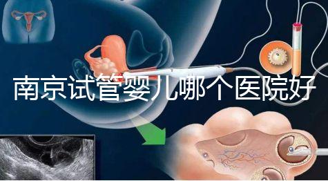 南京試管嬰兒哪個(gè)醫(yī)院好