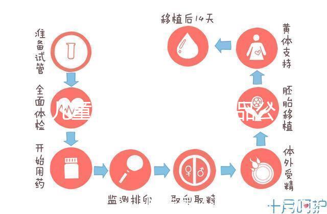 兒童牙膏十大國產(chǎn)產(chǎn)品公布,2024年哪些品牌看這個(gè)