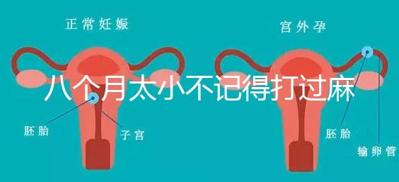 八個月太小不記得打過麻風疫苗看這，2大反應教你辨別