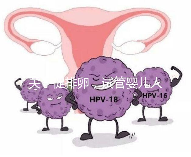 關于促排卵，試管嬰兒人群應該知道的 6 個真相