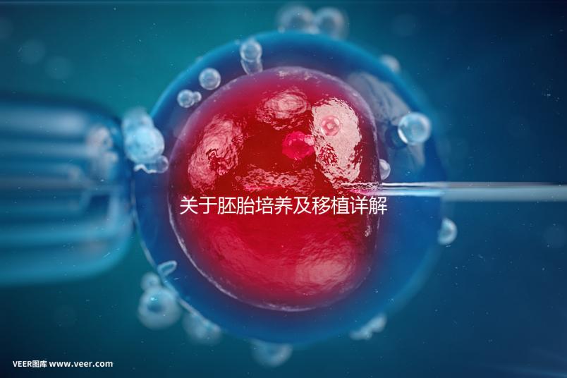 關于胚胎培養(yǎng)及移植詳解