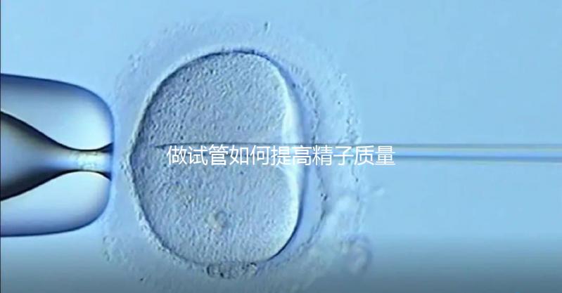 做試管如何提高精子質量？五星推薦4個簡單小運動