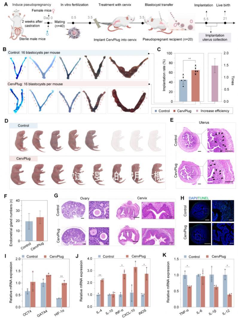 做試管嬰兒的費(fèi)用大概是多少錢?