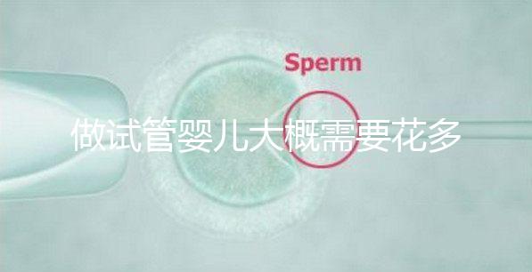 做試管嬰兒大概需要花多少錢(qián)