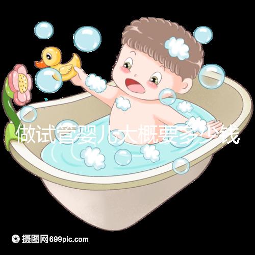 做試管嬰兒大概要多少錢(qián)啊