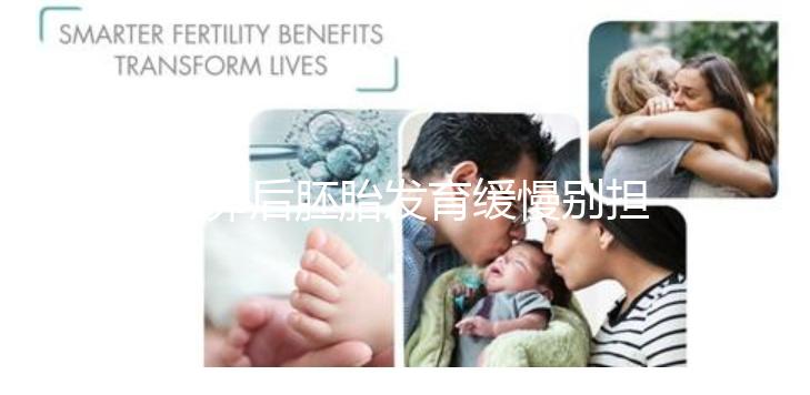 取卵后胚胎發育緩慢別擔心！這么做試管成功率翻倍