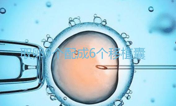 取卵9個配成6個移植囊胚成功率不高？專家：做三代試管夠了