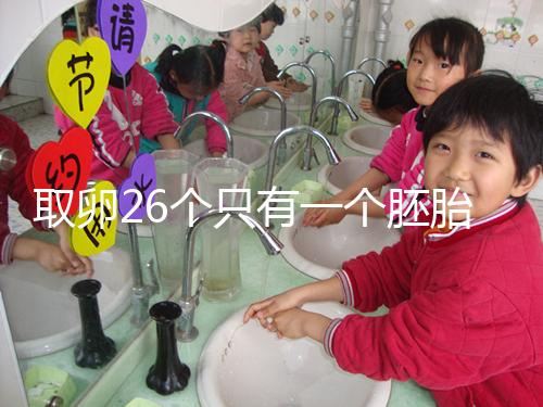 取卵26個(gè)只有一個(gè)胚胎成功率不低，次月移植凍胚易著床