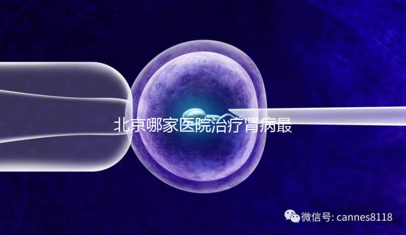 北京哪家醫院治療腎病最好(北京哪家醫院治療腎病最好?)