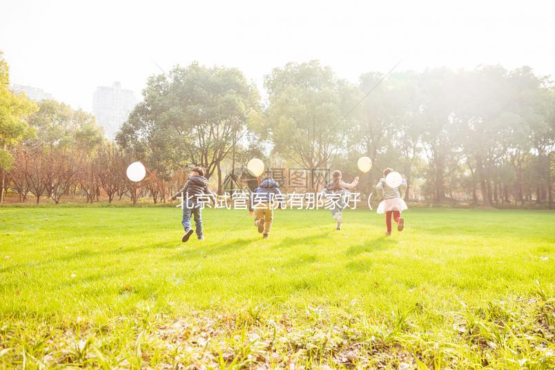 北京試管醫院有那家好（北京試管醫院排名哪家好）