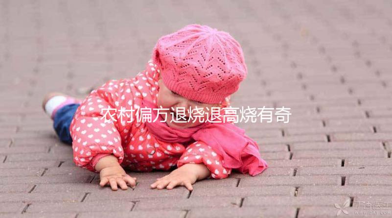 農村偏方退燒退高燒有奇效，路邊常見退燒草別還不認識