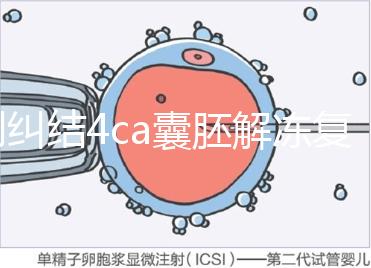別糾結(jié)4ca囊胚解凍復(fù)蘇最早幾天能測出了，著床率先了解下