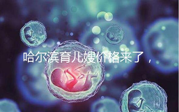 哈爾濱育兒嫂價(jià)格來(lái)了,公司排行榜top1多少錢看完了解