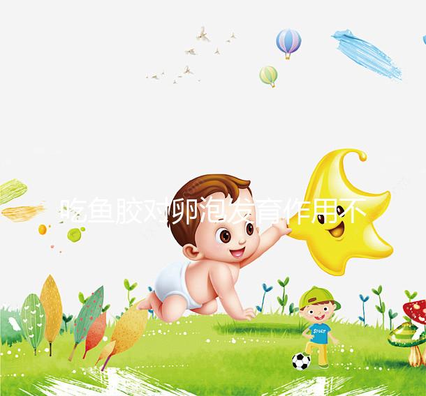 吃魚膠對卵泡發育作用不少，常食用還真能讓卵巢變好