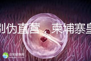 告別偽直營,柬埔寨皇家生殖遺傳醫(yī)院RFG中國辦事處指南