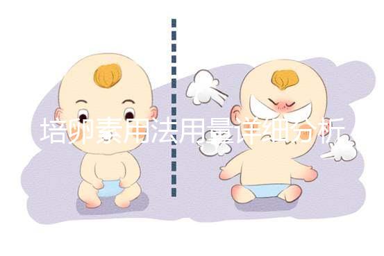 培卵素用法用量詳細分析，不同情況服用時間有差異