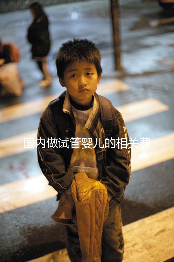 國內做試管嬰兒的相關費用、條件、指征