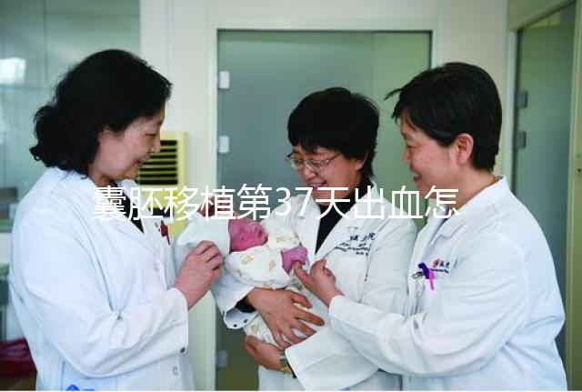 囊胚移植第37天出血怎么保胎?做到這3點(diǎn)就不用擔(dān)心流產(chǎn)