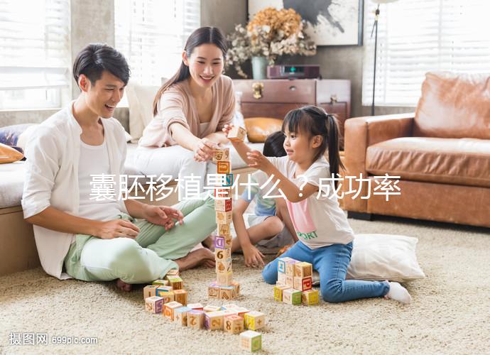 囊胚移植是什么？成功率