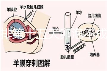 促排第十五天卵泡不成熟還可以治療！1.2等幾天就能長大
