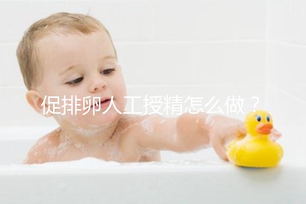 促排卵人工授精怎么做？4步操作過程戳這里了解