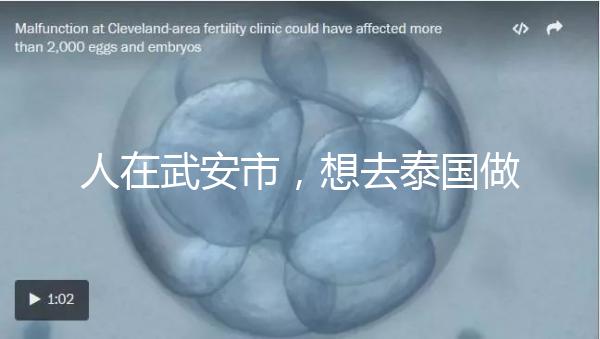 人在武安市,想去泰國(guó)做試管嬰兒生男孩要花多少錢?