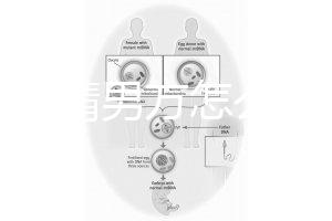 人工授精男方怎么取精？2種取精過(guò)程分別適合不同人群