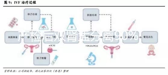 產檢后雙腎盂分離90%是男孩，或為孕期性別鑒定新高度