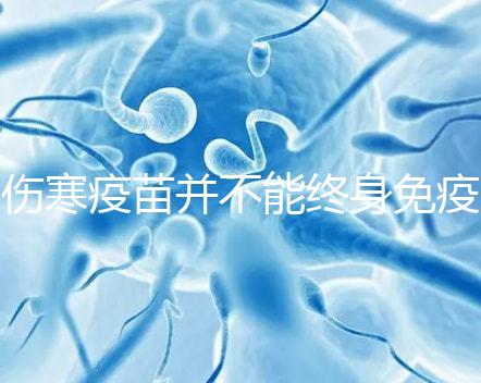 傷寒疫苗并不能終身免疫,有效期過后仍是易感染人群