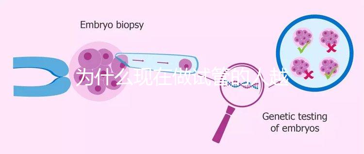 為什么現在做試管的人越來越多？解析背后的原因與趨勢！
