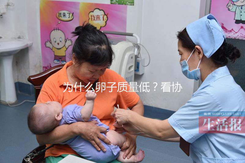 為什么卵子質量低？看協和試管中心何方方主任怎么說