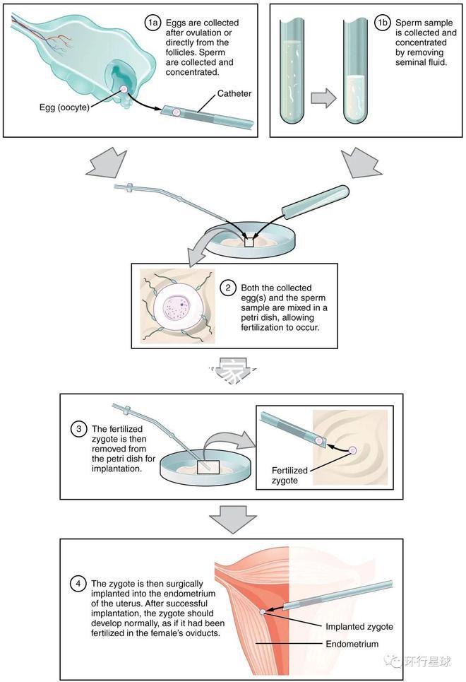 不知?dú)J州哪家男科醫(yī)院好戳，機(jī)構(gòu)能不能一目了然
