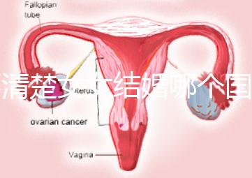 不清楚女女結婚哪個國家能領證來看，歐洲這些地區都可