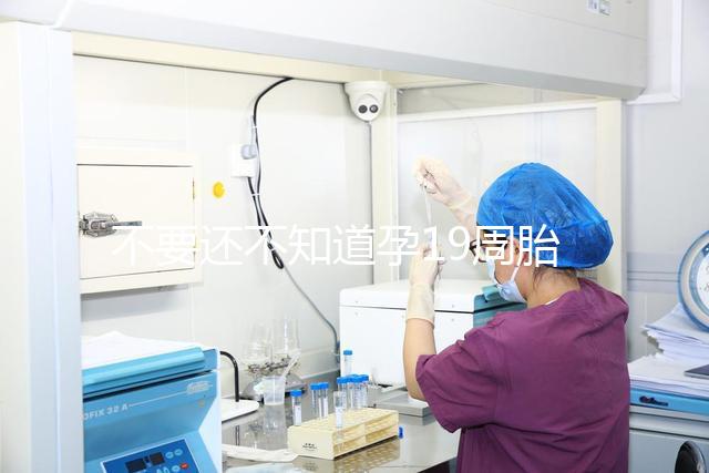 不要還不知道孕19周胎教音樂是怎么放的先聽聽有用嗎？