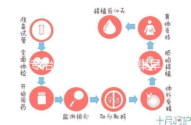 專治停經、絕經、卵巢早衰？利維愛的作用與適應癥分析