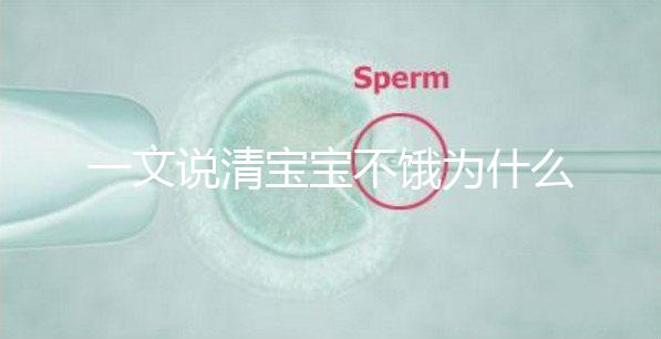 一文說清寶寶不餓為什么瘋狂找奶,找準原因才好解決