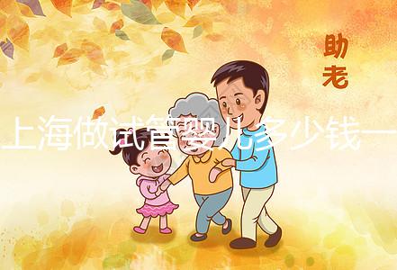 上海做試管嬰兒多少錢一次-