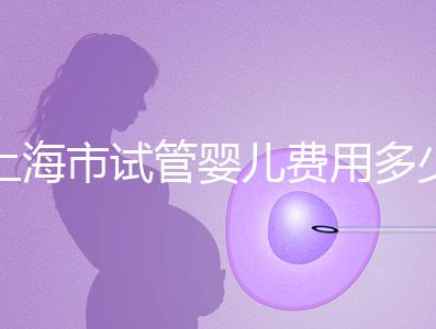 上海市試管嬰兒費用多少錢？2025年最新價格明細及影響因素